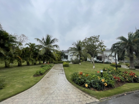 Hải Phòng đặt mục tiêu phát triển thị trường bất động sản an toàn, bền vững