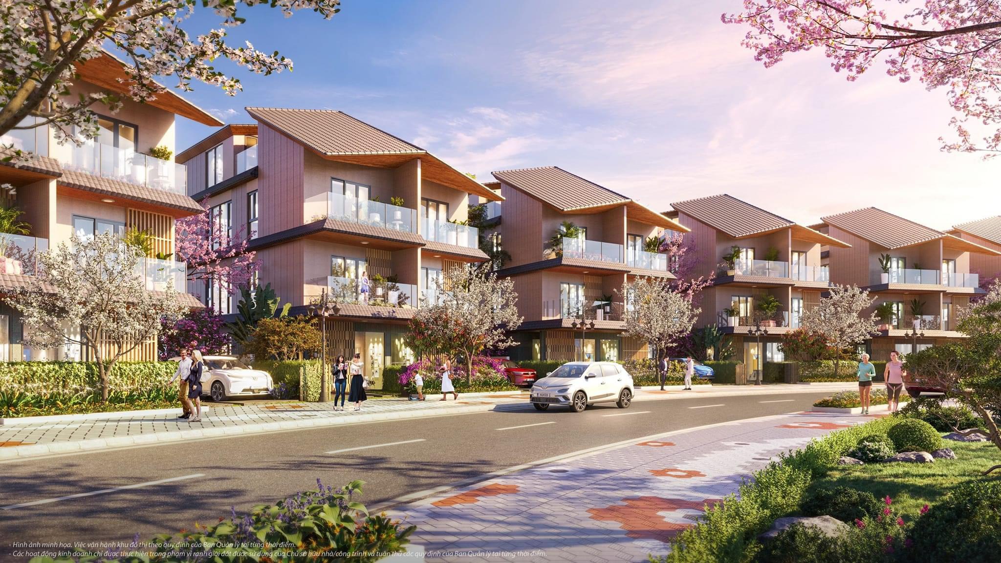 Biệt thự Song lập